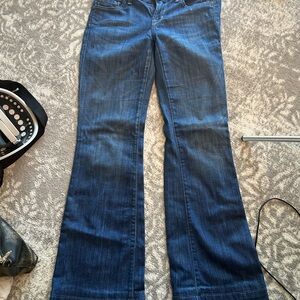 Citizens Of Humanity Blue Flare Wide Leg Jeans